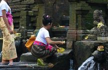 Full-day private guided tour of Ubud