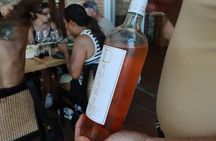 Half-day wine tour to Chianti from Florence