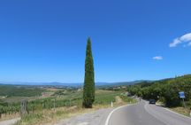 Half-day wine tour to Chianti from Florence