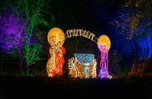 Budapest Lumina Park Entry Ticket