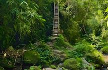 Full-day tour of rice fields, waterfalls and monkeys in Tetebatu