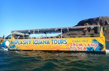 Splashy Iguana amphibious bus tour of Curaçao
