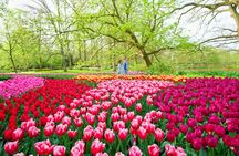Keukenhof ticket with transfer, bus audio guide and Canal cruise