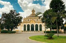 Setas de Sevilla ticket and city highlights audio tour