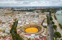 Setas de Sevilla ticket and city highlights audio tour