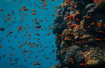 Nusa Penida full-day tour with lunch and snorkelling