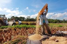 Customized private guided tour