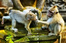 Customized private guided tour