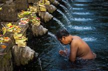 Customized private guided tour