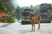 Himeji, Nara and Kobe full-day tour from Osaka