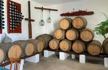 Lanzarote wine-tasting and museum tour at Bodega Finca Mota