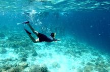 Private snorkelling experience with Tenganan Village