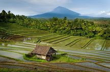 Private design your day with driver