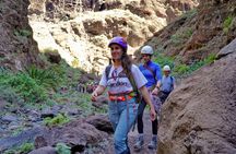 Guided exploration of Masca Gorge in Tenerife