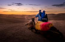 Agafay buggy full-day tour and camel ride with lunch