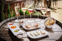 Wine Museum tickets and tasting of 5 wines and 7 specialities