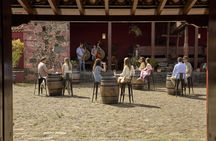 Wine Museum tickets and tasting of 5 wines and 7 specialities