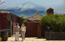 Wine Museum tickets and Marmajuelo tasting