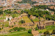 Small-group Colosseum, Roman Forum and Palatine VIP tour
