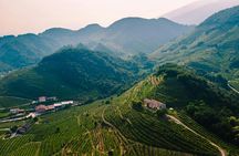 Prosecco hills guided tour with tasting from Venice
