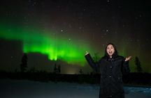 Northern Lights chasing bus tour from Rovaniemi with expert guides