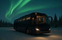 Northern Lights chasing bus tour from Rovaniemi with expert guides