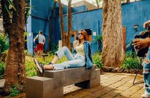 Blue House, Coyoacán and Xochimilco tour with transportation