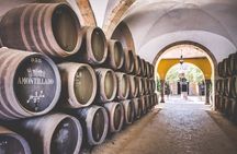 Guided walking tour of Jerez with sherry wine tasting