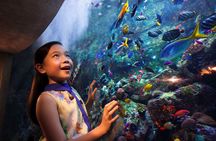 Atlantis Aquarium "The Lost World" tickets