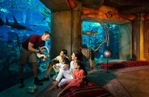 Atlantis Aquarium "The Lost World" tickets