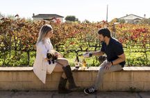 Half-day winery tour with wine tasting and tapas