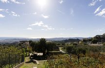 Half-day winery tour with wine tasting and tapas