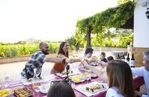 Organic vineyard wine tasting tour in Mijas, Costa del Sol