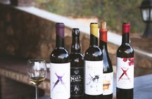 Organic vineyard wine tasting tour in Mijas, Costa del Sol