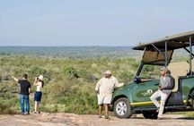 Kruger National Park full-day safari from Hazyview