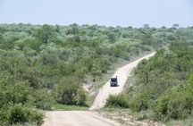 Kruger National Park full-day safari from Hazyview