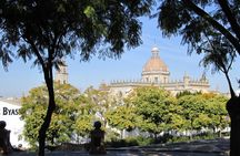 Guided walking tour of Jerez with Alcazar visit