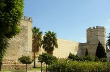 Guided walking tour of Jerez with Alcazar visit