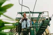 Capri and Anacapri with Blue Grotto guided tour from Naples