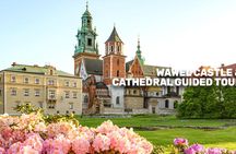 Krakow pass with two top picks, audio guide and e-sim