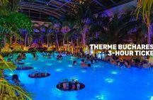 Bucharest pass with two top picks, e-sim and Old Town walking tour