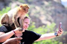 Ouzoud waterfalls full-day tour with lunch