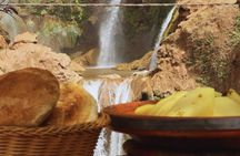 Ouzoud waterfalls full-day tour with lunch