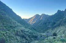 Hands-on experience at an avocado farm with local menu and wine