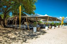 Snorkelling tour to Kwale Island and Menai Bay with private transfer