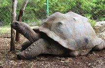 Zanzibar Prison Island private tour