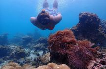 Phi Phi Islands and Maya Bay tour from Khao Lak with Khai Island