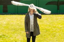 Boat Tour to the Cliffs of Moher and Aillwee Cave from Dublin