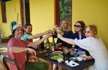 Organic vineyard guided tour with tasting in Vinhos Verdes region