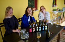 Organic vineyard guided tour with tasting in Vinhos Verdes region